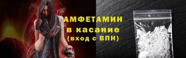 индика Вяземский