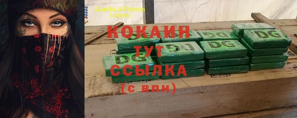 индика Вяземский