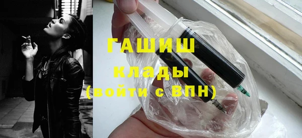 индика Вяземский
