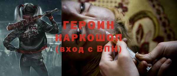 индика Вяземский