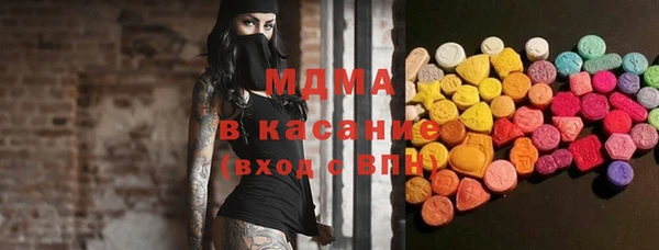индика Вяземский