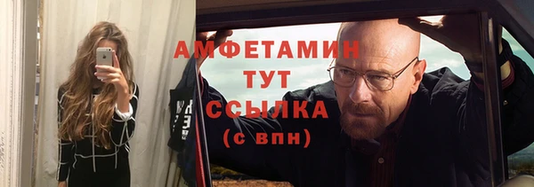 индика Вяземский