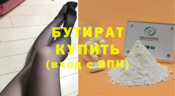индика Вяземский