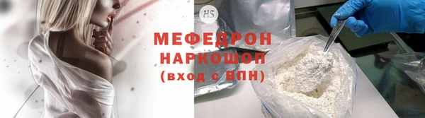 индика Вяземский
