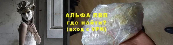 индика Вяземский