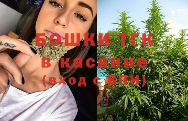 индика Вяземский