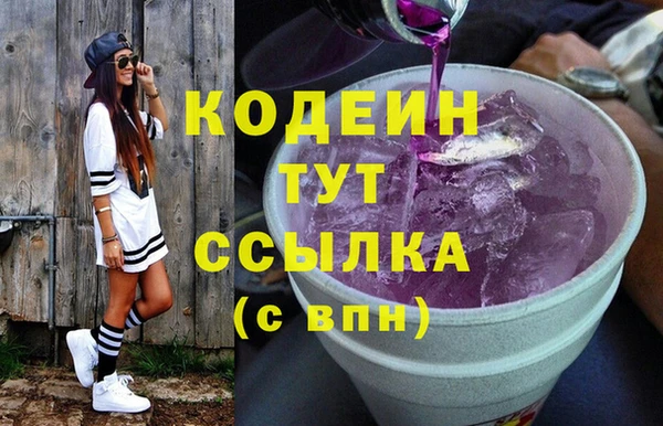 индика Вяземский