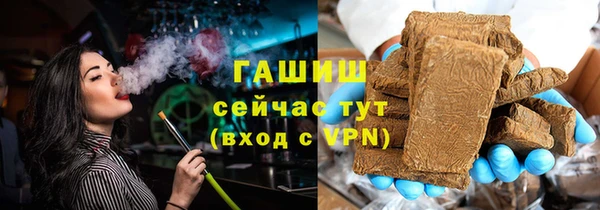 индика Вяземский