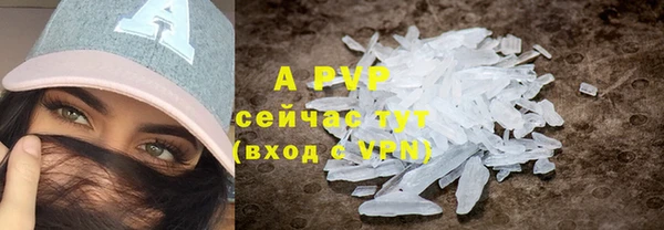 индика Вяземский