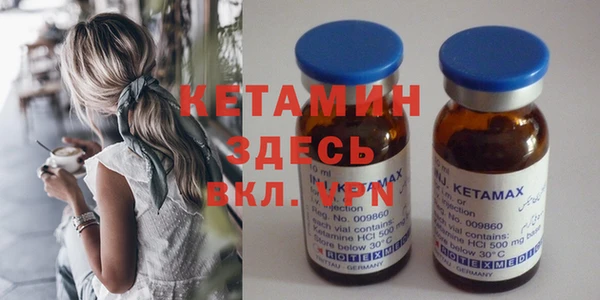 индика Вяземский