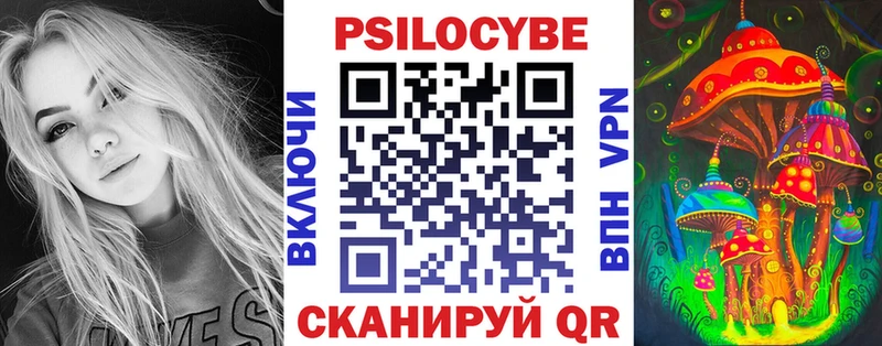 Купить  Нижние Серги  Псилоцибиновые грибы MAGIC MUSHROOMS 